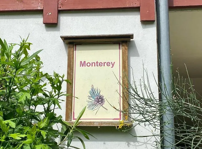 Daire En Pierre Et Vacance Au Golf *